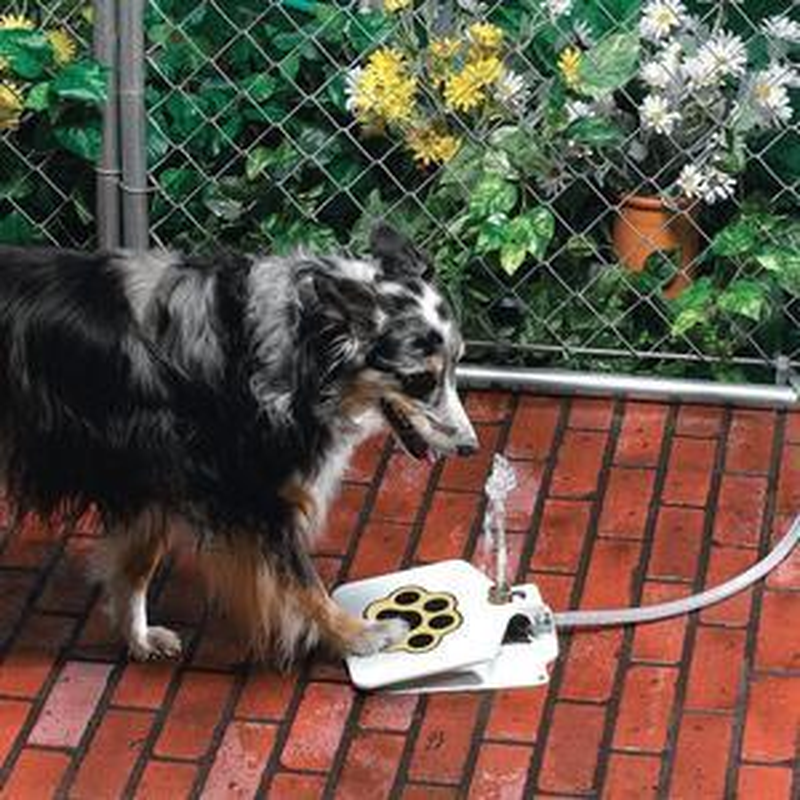 Paw-activated outdoor dog water fountain, view 3