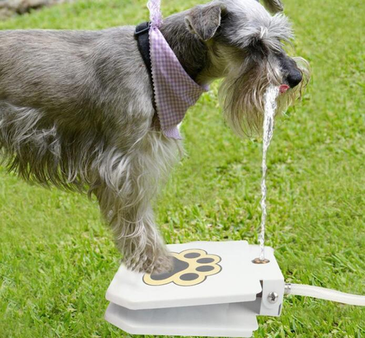 Paw-activated outdoor dog water fountain